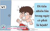Đi tiểu nhiều lần trong ngày có phải là bệnh?