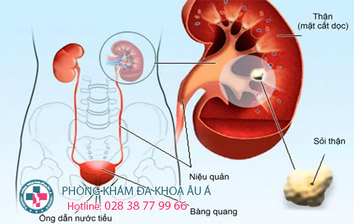  Top bác sĩ chuyên khoa tiết niệu giỏi ở TPHCM