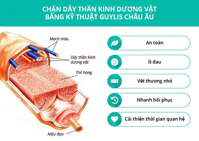 chữa yếu sinh lý tại nhà chữa yếu sinh lý tại nhà