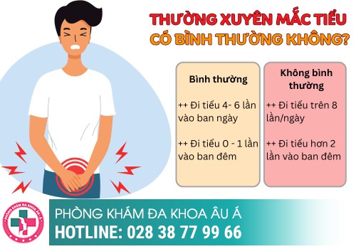  Thường Xuyên Mắc Tiểu Là Bệnh Gì? Nguyên Nhân, Cách Khắc Phục Hiệu Quả
