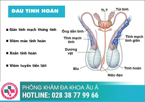  Bác Sĩ Giải Đáp: Nguyên Nhân Đau Tinh Hoàn Khi Cương