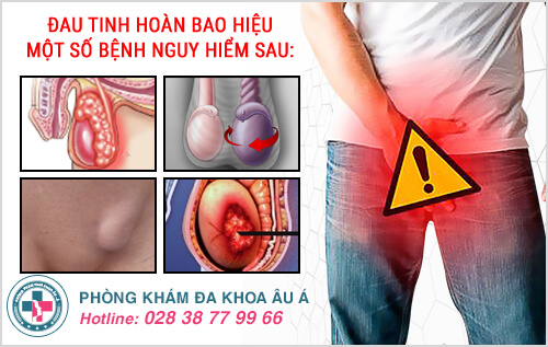 Đau tinh hoàn là bệnh gì? Đau tinh hoàn là bệnh gì?