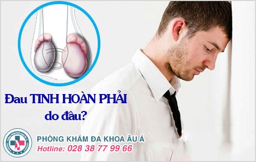  Cảnh giác với triệu chứng đau tinh hoàn phải