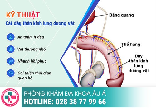  Chuyên Đề Trắc Nghiệm Điều Trị Xuất Tinh Sớm