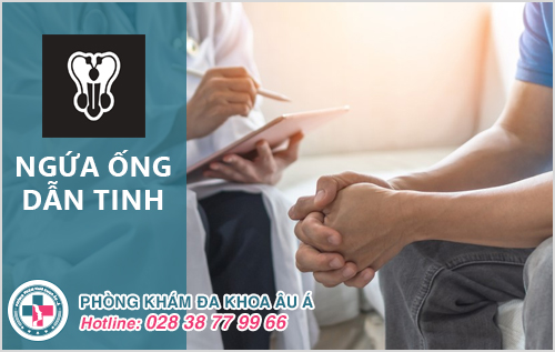  Ngứa ống dẫn tinh là bị bệnh gì? Điều trị như thế nào?