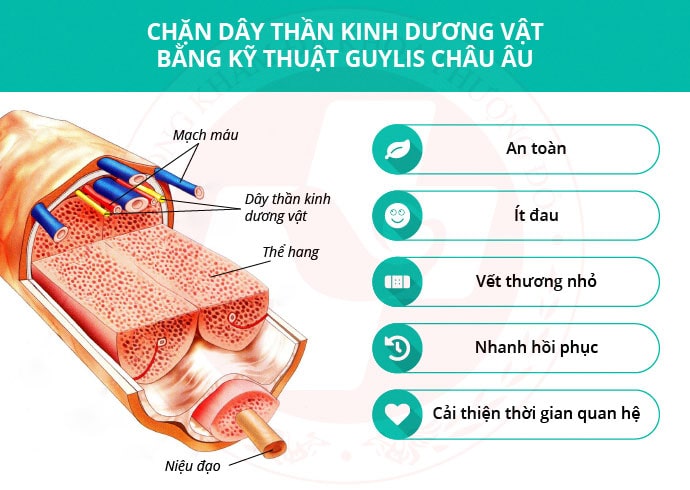 Thuốc chữa yếu sinh lý có thực sự hiệu quả hay không Thuốc chữa yếu sinh lý có thực sự hiệu quả hay không