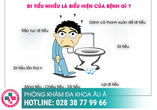  Bài Trắc Nghiệm Chẩn Đoán Triệu Chứng Tiểu Nhiều