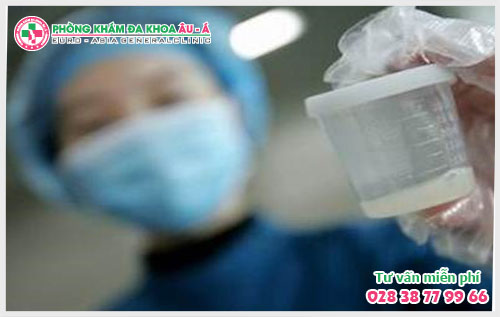  Nhận Biết Tinh Trùng Yếu Và Cách Khám Điều Trị Hiệu Quả