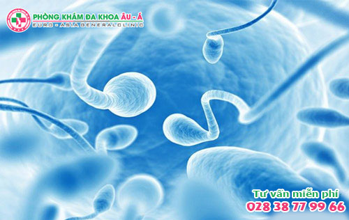  Tinh Trùng Loãng Có Ảnh Hưởng Đến Khả Năng Có Con Không?