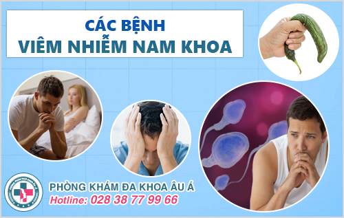 Top các bệnh viêm nhiễm nam khoa thường gặp Top các bệnh viêm nhiễm nam khoa thường gặp
